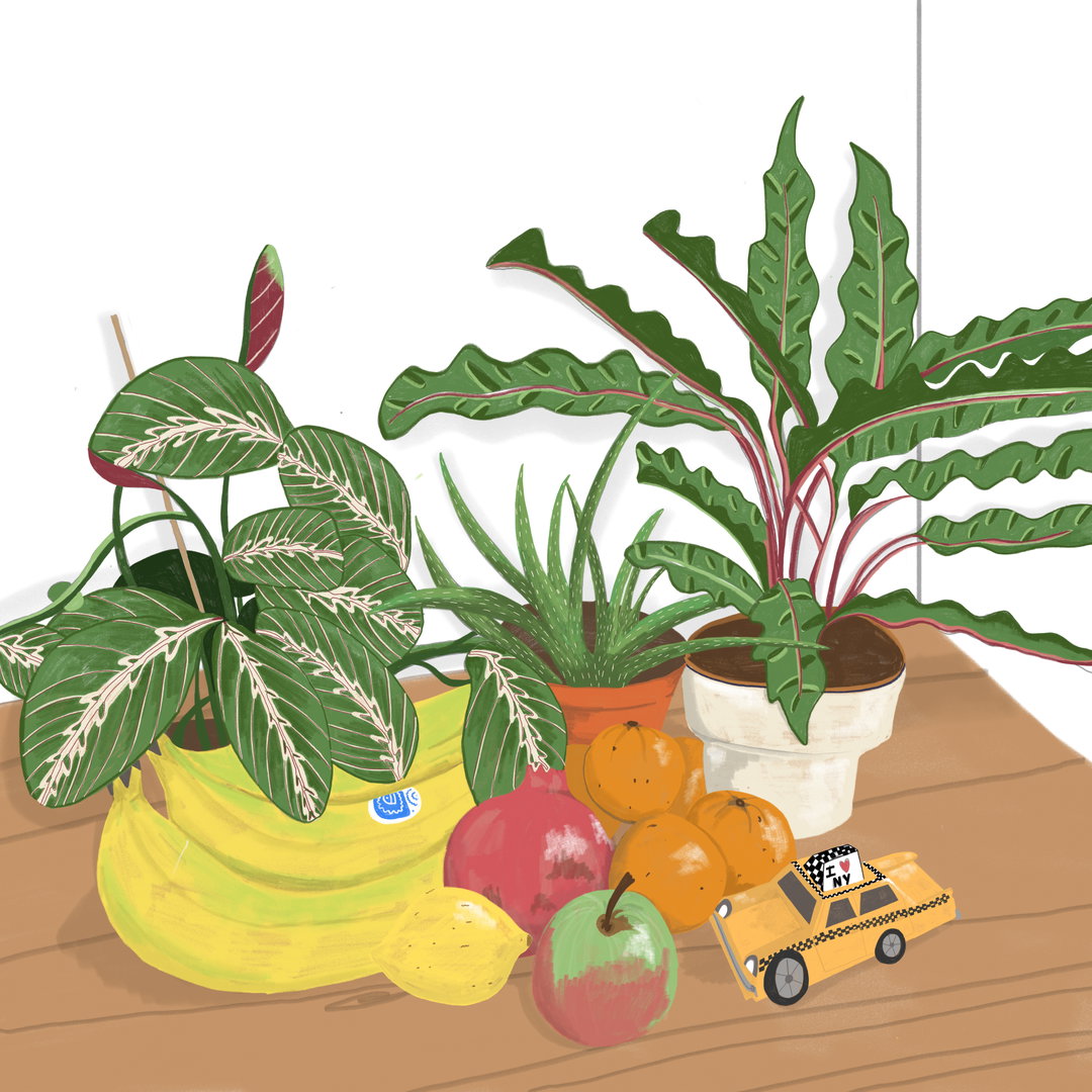 zena-kay-work-illustration-itsnicethat-3.jpg