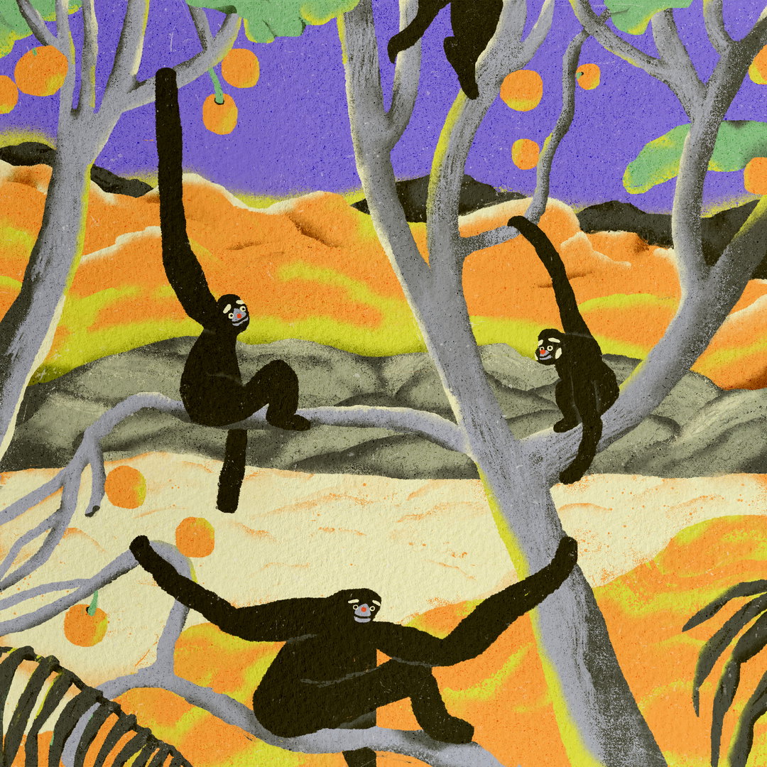 zsofia-gyorfi-art-illustration-itsnicethat-0.jpg