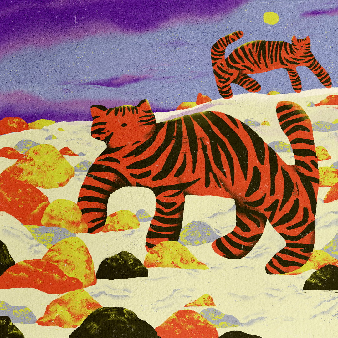 zsofia-gyorfi-art-illustration-itsnicethat-10.jpg
